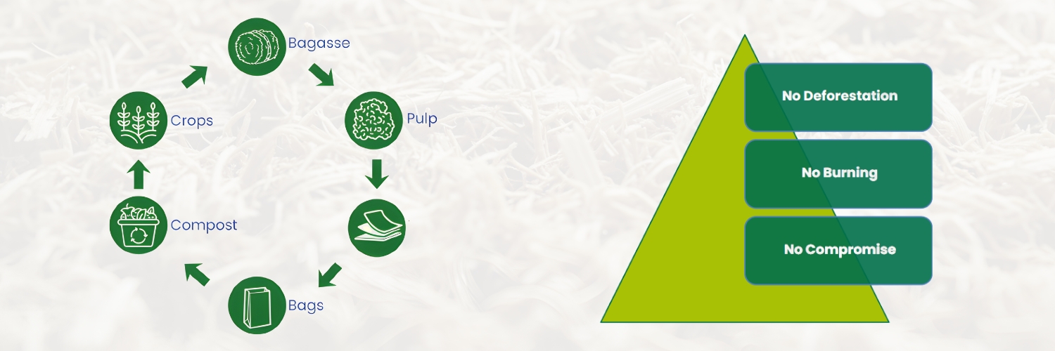 From Agricultural Waste to Clinical Grade: The Science of Tree-Free Paper for  Pharmacy Packaging